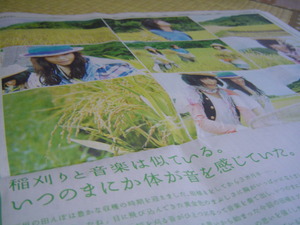 ap bank の活動