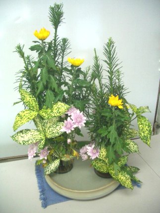 今月の生け花★十月