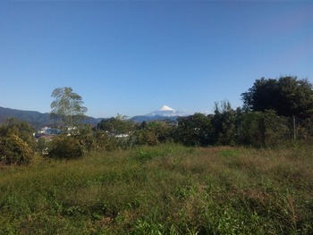 今朝の富士山