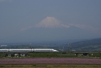 富士と蓮華　１