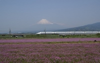 富士と蓮華　２