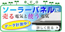 エコエコ
