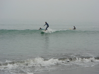 SHIZUNAMI LONGBOARD PRO 2008
