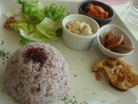 Vege-Cafe SANTOSHA