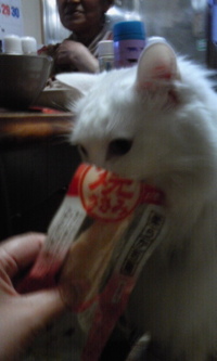 積むⅨ