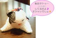 あかねこぷれす