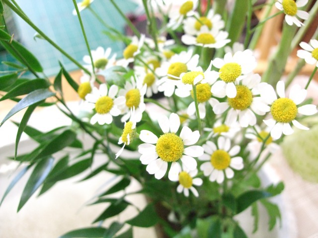 いけばな