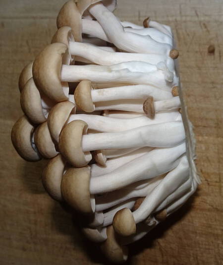 きのことワカメのレンジ胡麻和え