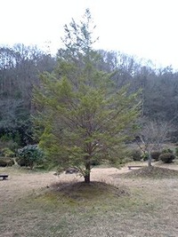 苦しみの連鎖から抜けること