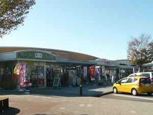 日本坂パーキング、、、