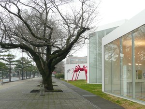 暖かい静岡へ、、、