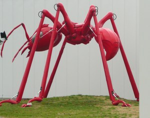 暖かい静岡へ、、、