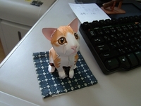 ペーパーねこチャン 2009/08/21 11:00:00