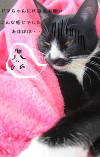頑張ります