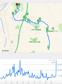 2017日本平桜マラソン