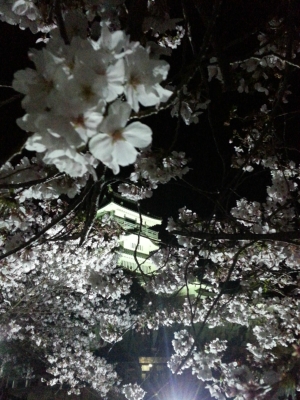ちょこっとご紹介♪
