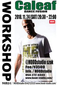 11月24日の記事