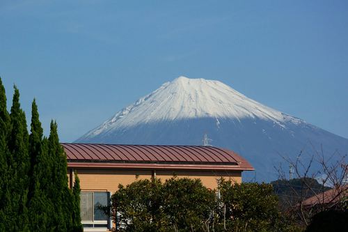 蒲原宿場まつり＆宿場まつり