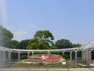 ばらと富士山　２