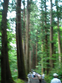 練習