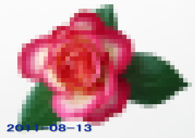 バラの花