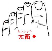 五臓六腑の原穴（げんけつ）　太衝の巻
