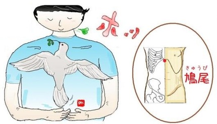 鳩尾（きゅうび）というツボ