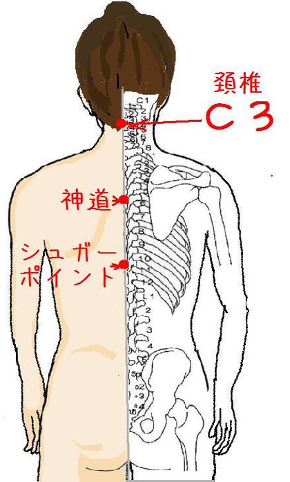 背中は物語る！