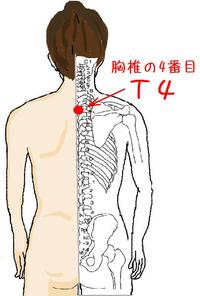 目の疾患はＴ４に反応 あり！