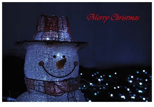 メリークリスマス^^
