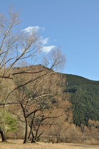 初キャンプ