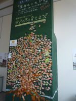 登呂の木の成長