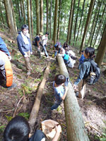 森とまの伐採見学会