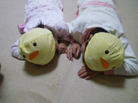 姫１号&２号♪