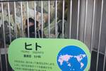 日本平動物園・春の動物園祭り