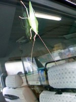 避暑地