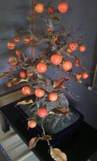 鈴木邸　2011年秋の催事