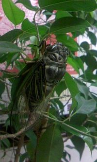 お客様からの贈り物