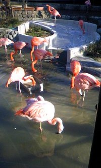 日本平動物園・春の動物園祭り