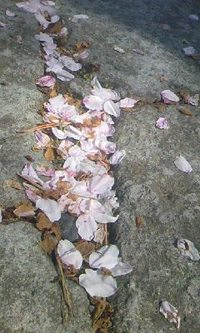 静岡厚生病院です♪