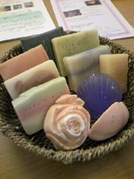 ～静岡から元気を～