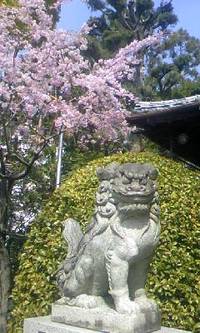 静岡厚生病院です♪