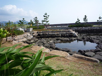 親水公園で散歩♪