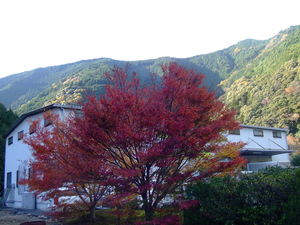 15年・・・