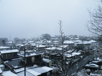 雪が！！