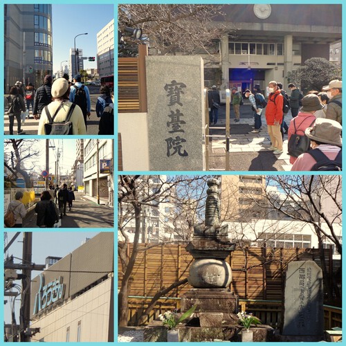 2月定例会静岡コース「徳川家を支えた女性と家康公が愛したまち静岡を巡る」開催しました。