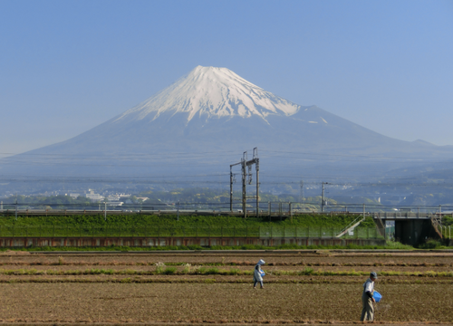 今朝の富士山～５月１１日～