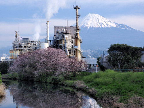 今朝の富士山～４月６日～
