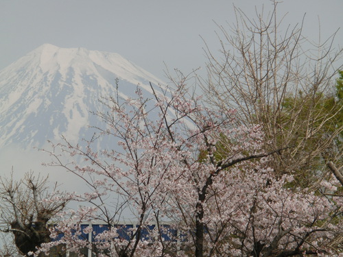 今日の富士山～３月２９日～