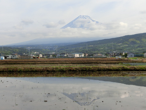 今朝の富士山～５月１９日～